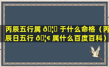 丙辰五行属 🦄 于什么命格（丙辰日五行 🦢 属什么百度百科）